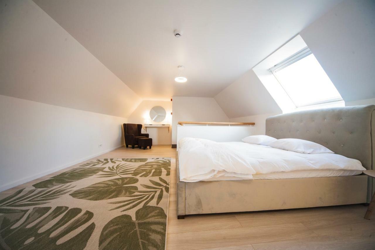 Apartament 2 Level In Old Town